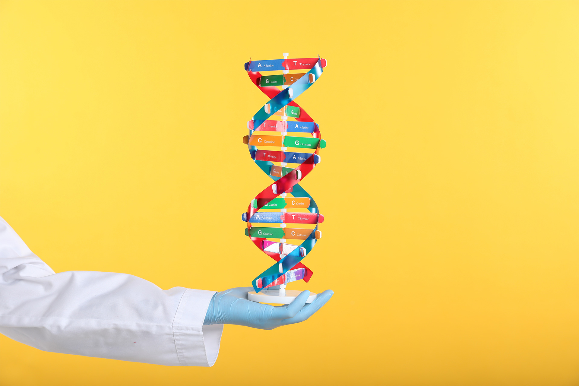 A scuola di Genetica: scopriamo il DNA, la molecola alla base della vita, e gli strumenti che ci aiutano a decifrarlo